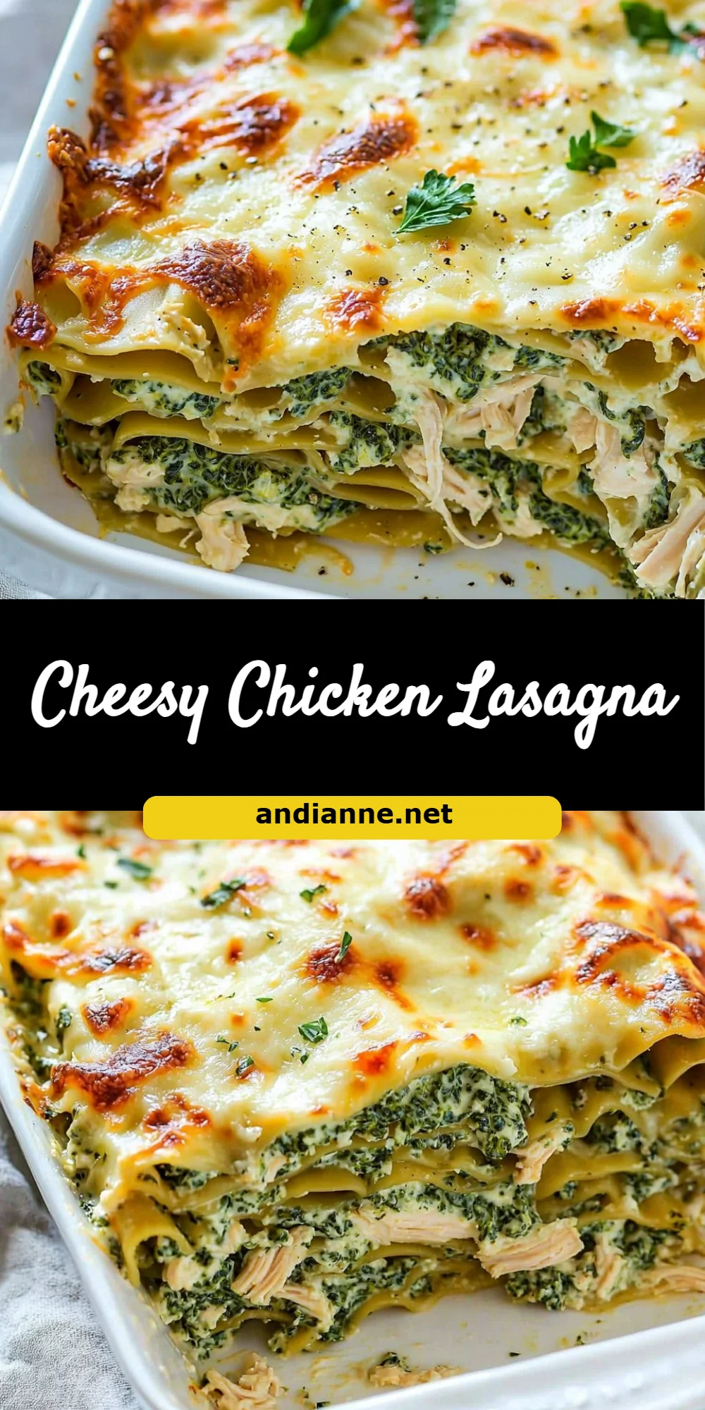 Cheesy Chicken Lasagna