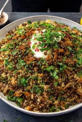 A serving of Mujadara, delicious lentils and rice topped with crispy onions.