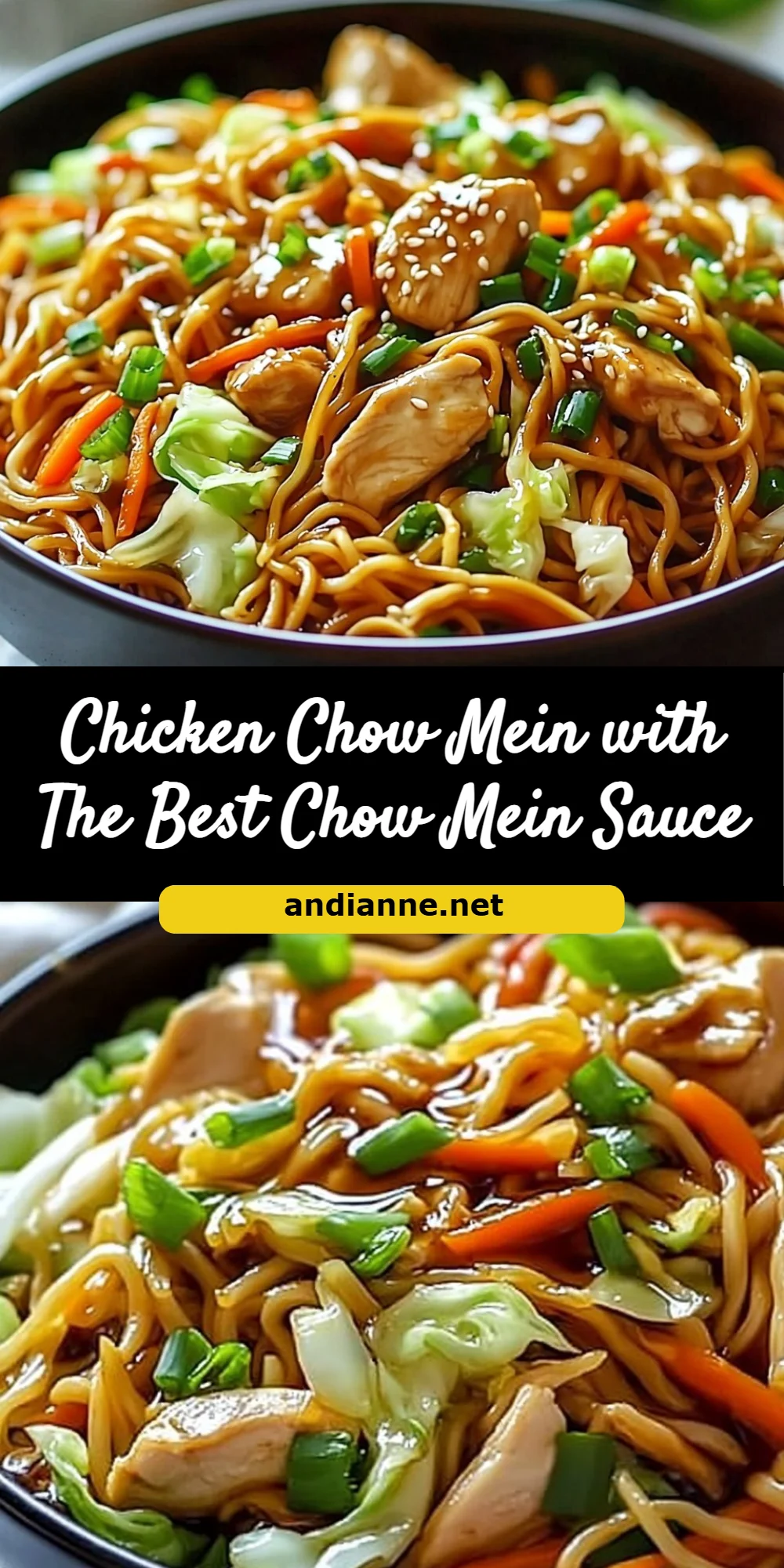 Chicken Chow Mein with The Best Chow Mein Sauce