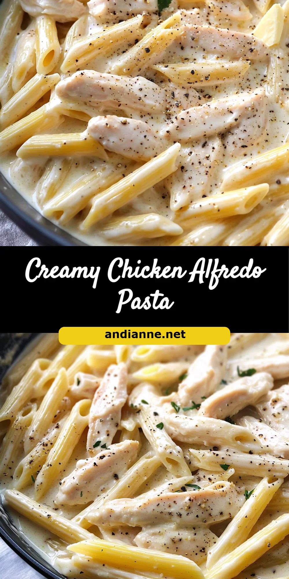 Creamy Chicken Alfredo Pasta